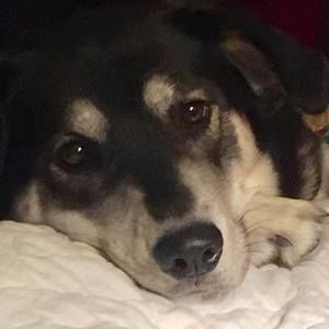 Meet your Posher, Deb